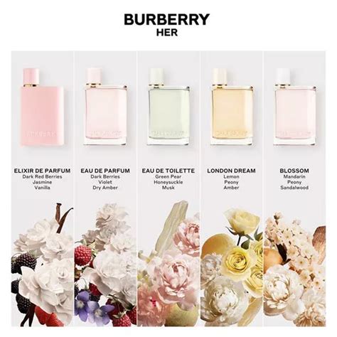 burberry london perfume notes|original burberry perfume for women.